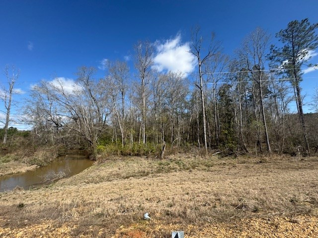 1111 Mount Olive Rd Se Property Photo 3