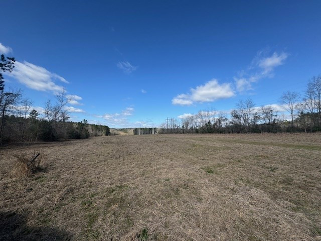 1111 Mount Olive Rd Se Property Photo 12