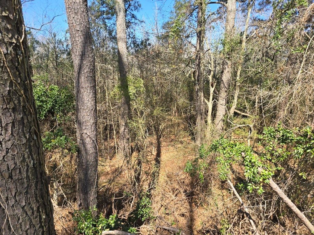 000 Hwy 13 Property Photo 3