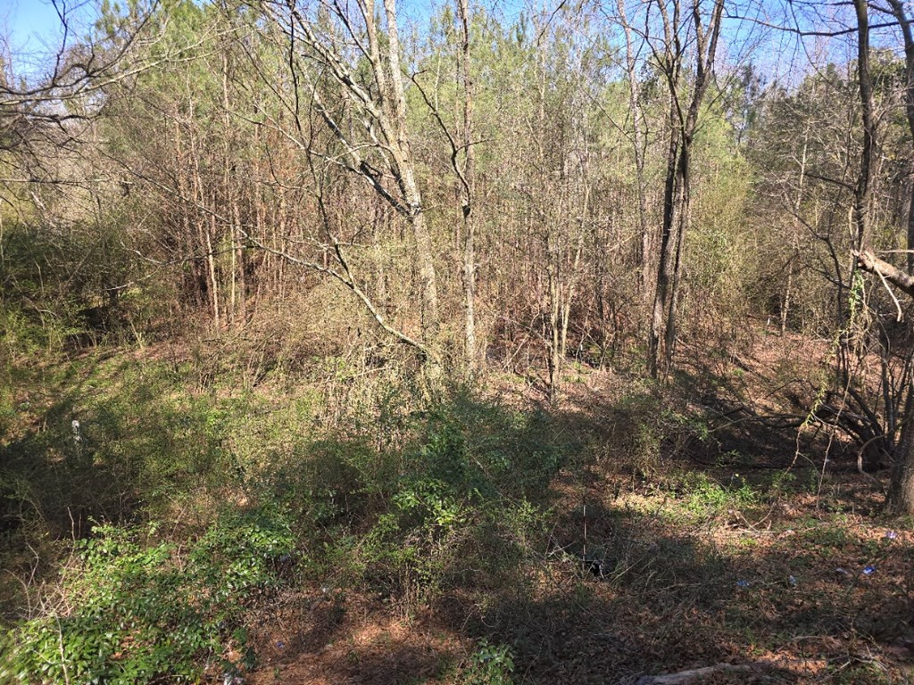 000 Hwy 13 Property Photo 4