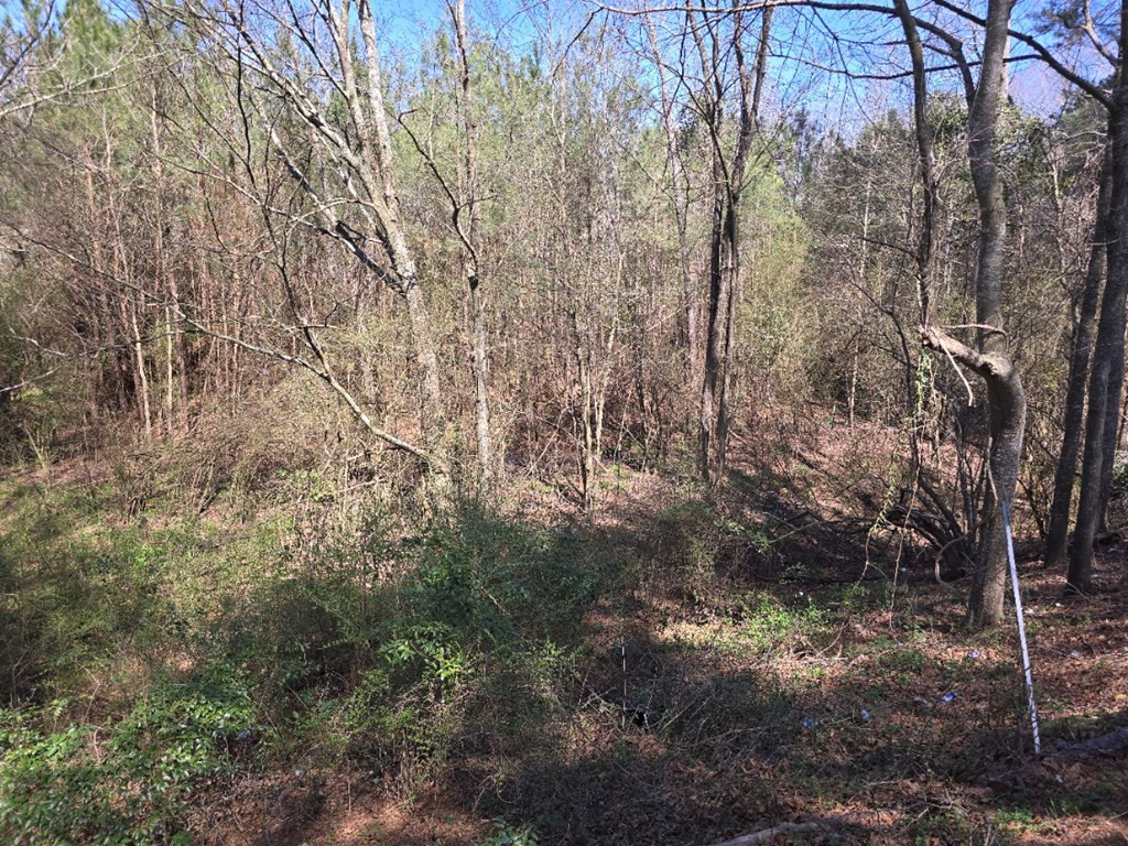 000 Hwy 13 Property Photo 5