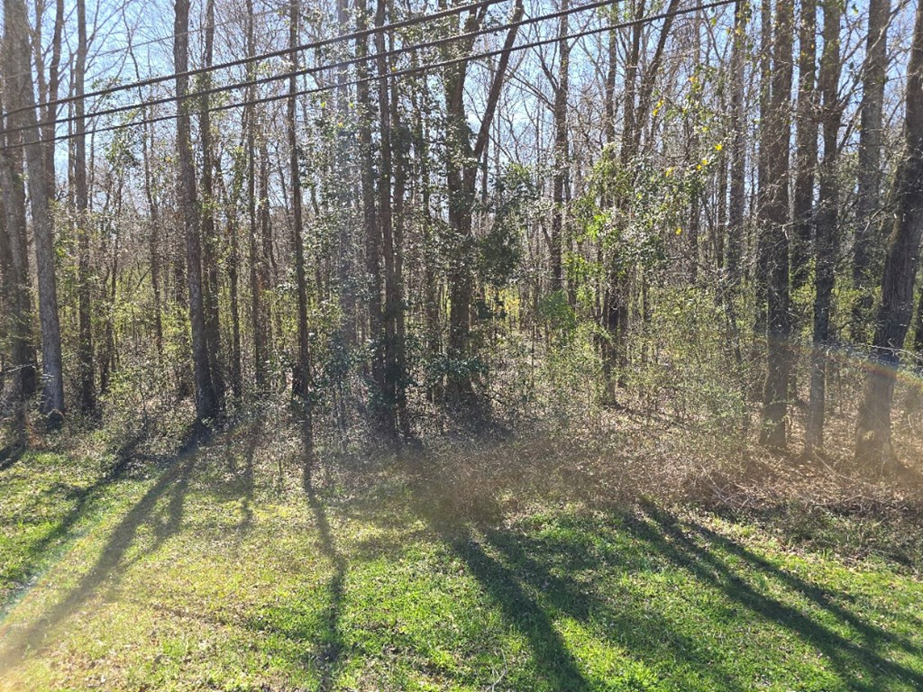 000 Hwy 149 Property Photo 2