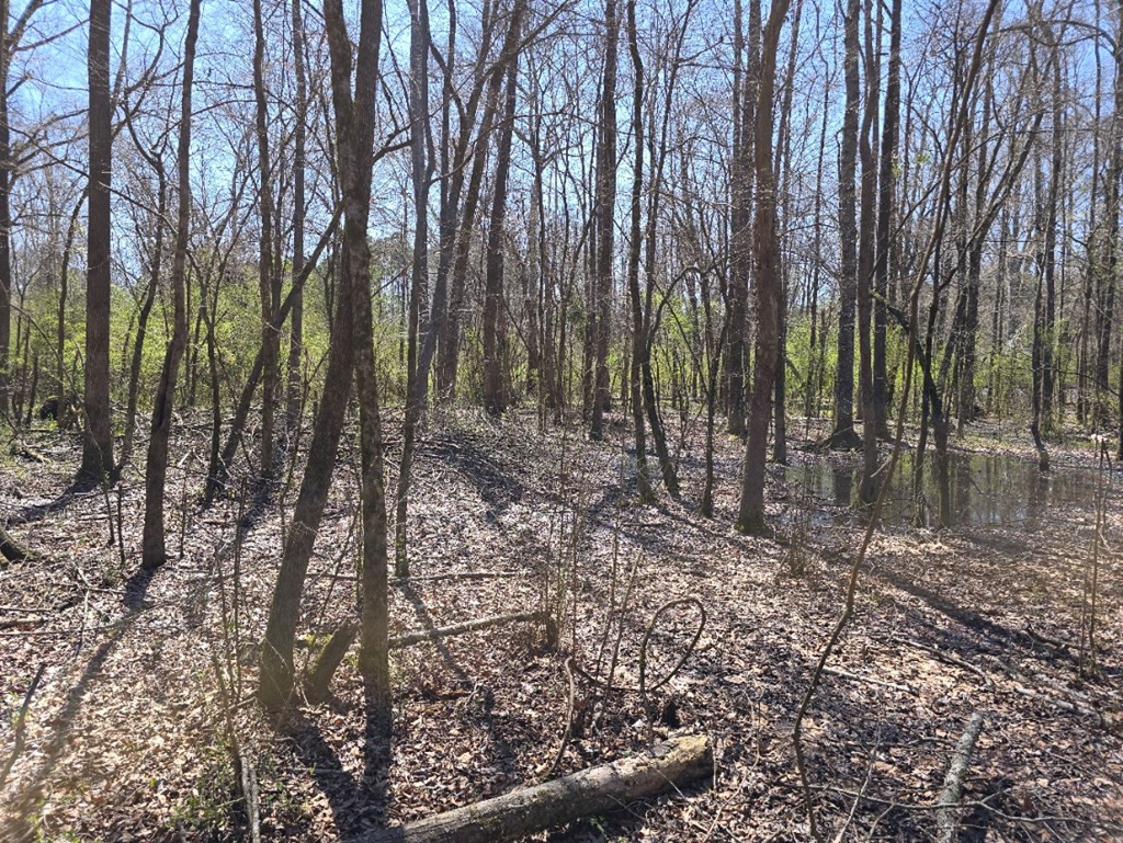 000 Hwy 149 Property Photo 3