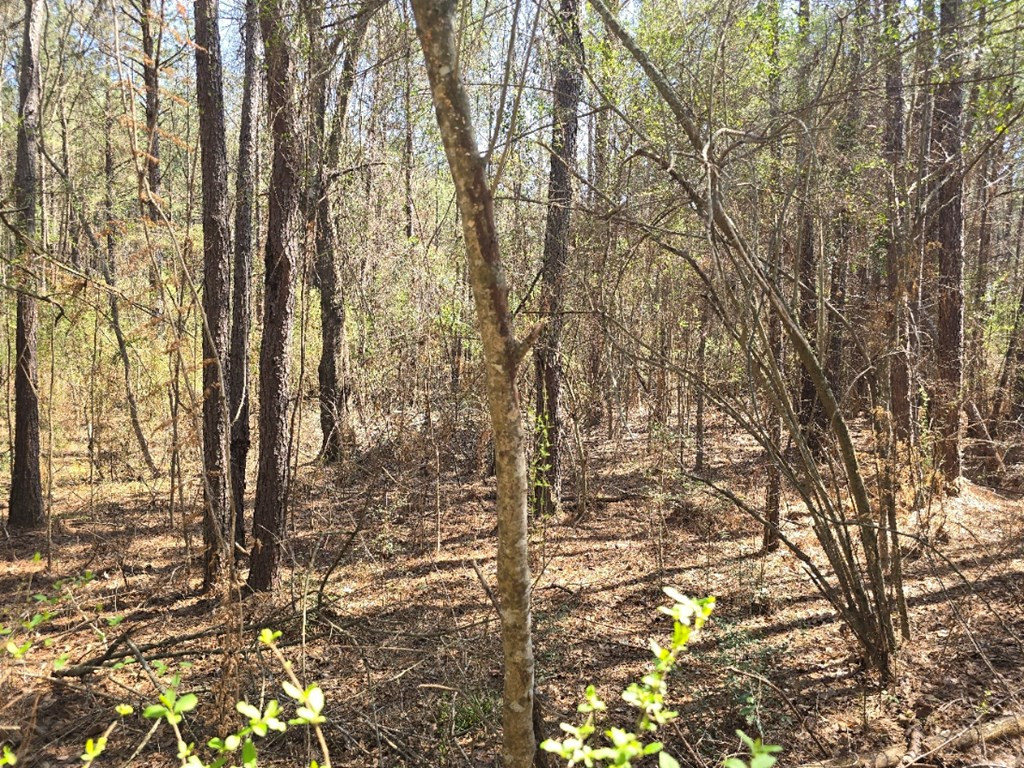 000 Hwy 149 Property Photo 5