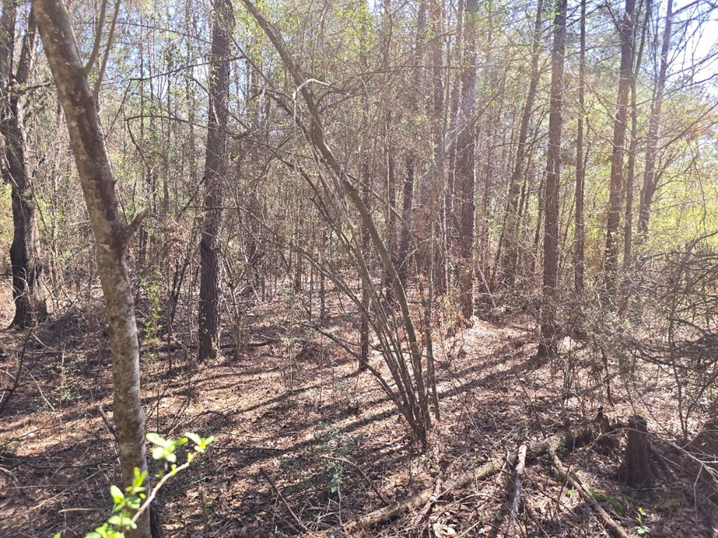 000 Hwy 149 Property Photo 6