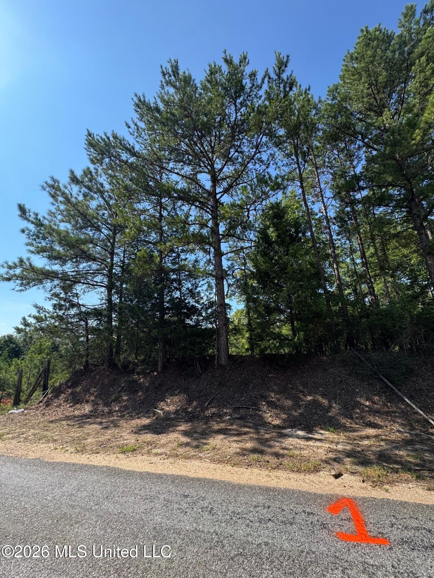 1 Co Rd 16 Property Photo 12