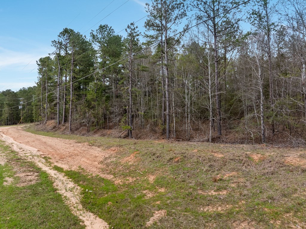 5 County Road 16 Property Photo 3