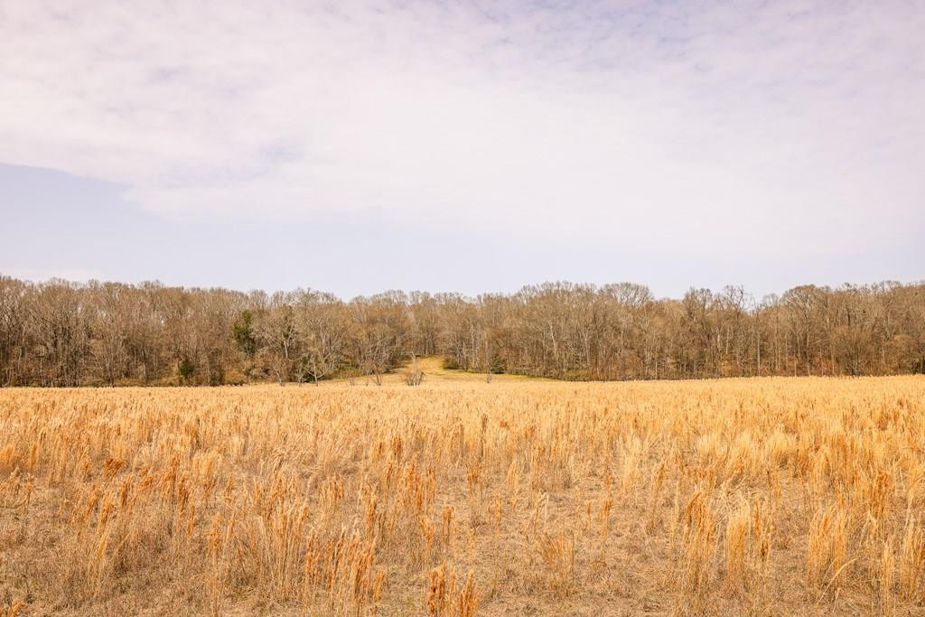 Tbd Old Highway 80 Property Photo 1