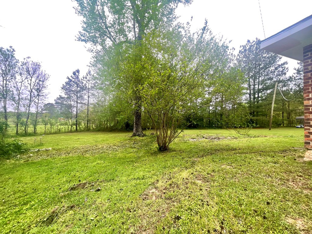 37 Ras Case Road Property Photo 5