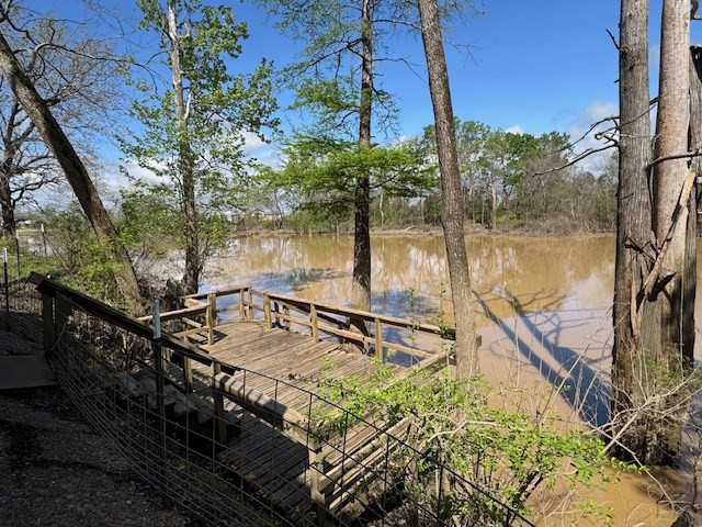 6207 Lake Mary Road Property Photo 47