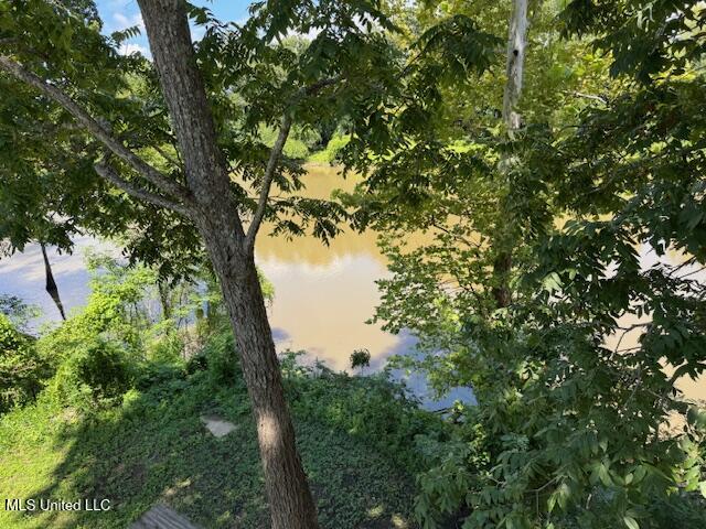 6207 Lake Mary Road Property Photo 71