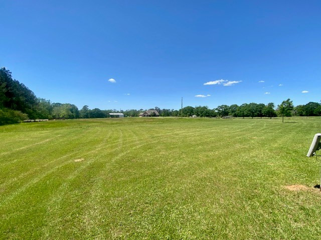 1079 Mt. Herman Road Property Photo 2