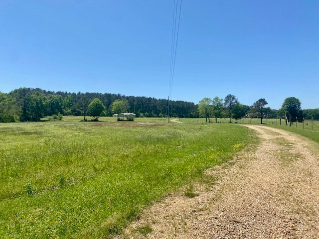 1079 Mt. Herman Road Property Photo 25