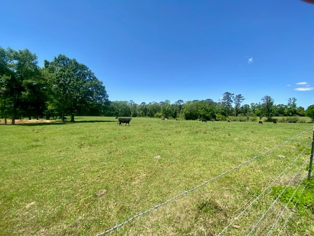 1079 Mt. Herman Road Property Photo 50