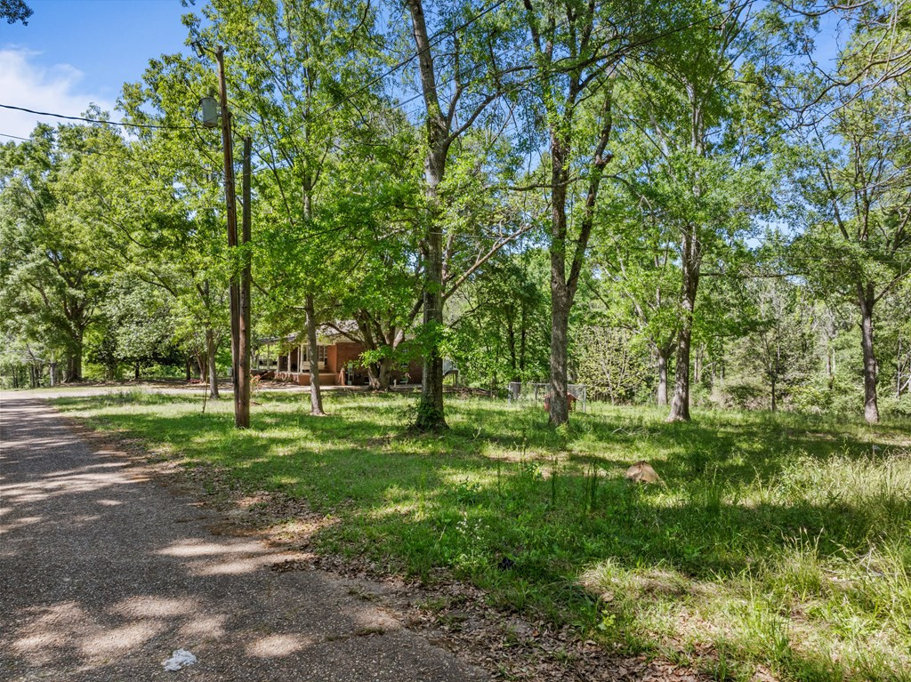 1017 Seventh Street Property Photo 3