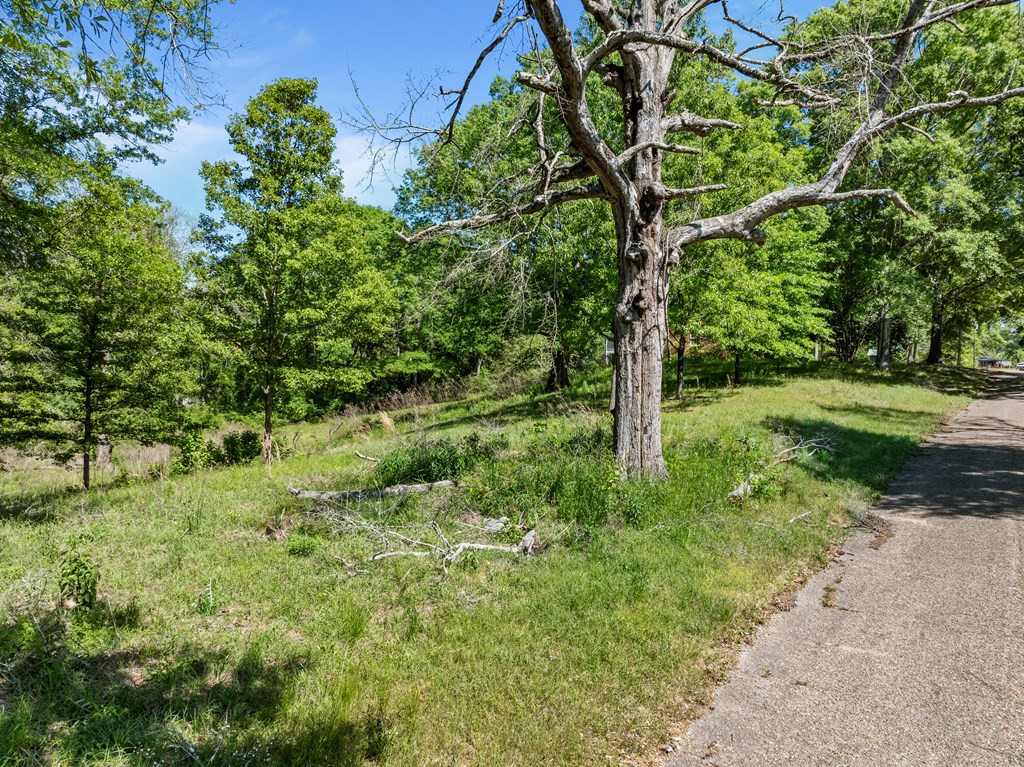 1017 Seventh Street Property Photo 4