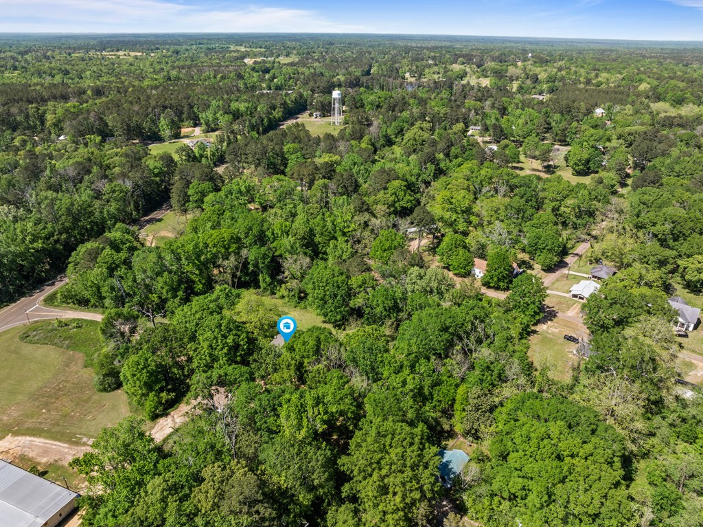 1017 Seventh Street Property Photo 46