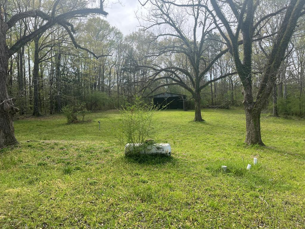 1433 Sam Mcneil Road Property Photo 1