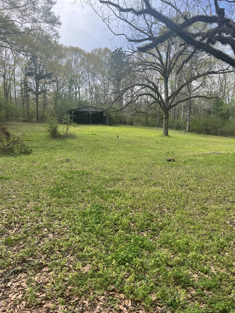 1433 Sam Mcneil Road Property Photo 2