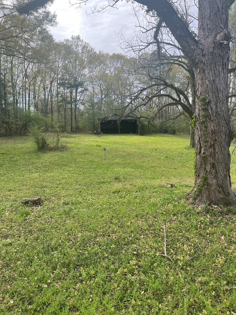 1433 Sam Mcneil Road Property Photo 5