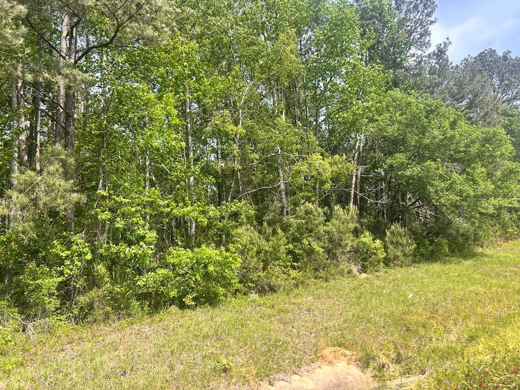 Tbd Hwy 44e Property Photo 1