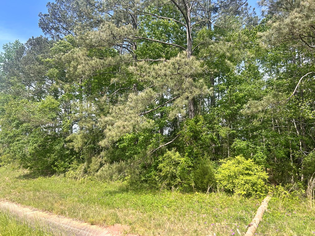 Tbd Hwy 44e Property Photo 2