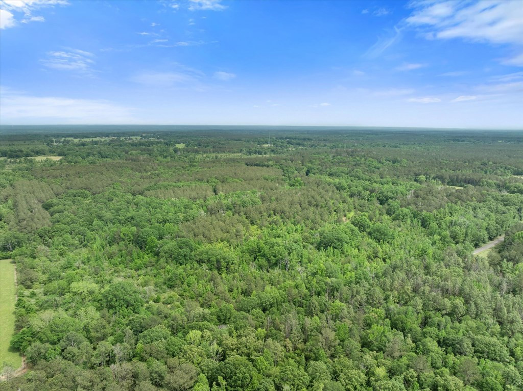 Xx Dudley Rimes/ Silver Drive Property Photo 5