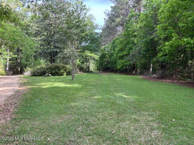 37 Adron Boyd Road Property Photo 52