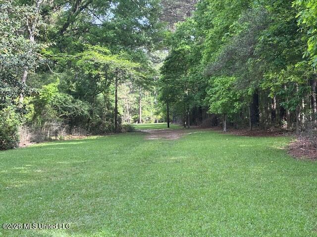 37 Adron Boyd Road Property Photo 54