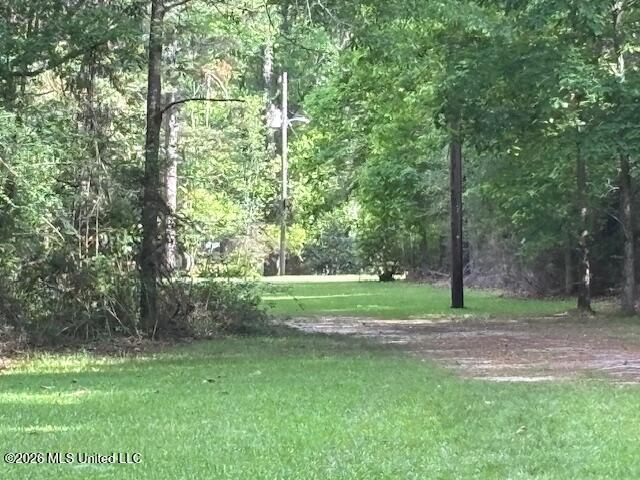37 Adron Boyd Road Property Photo 55
