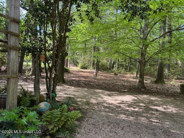 37 Adron Boyd Road Property Photo 56