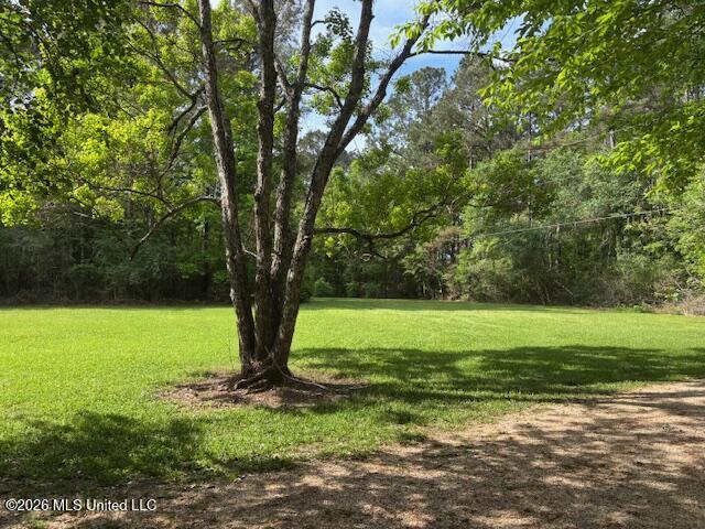 37 Adron Boyd Road Property Photo 57