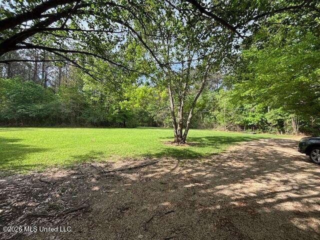 37 Adron Boyd Road Property Photo 58