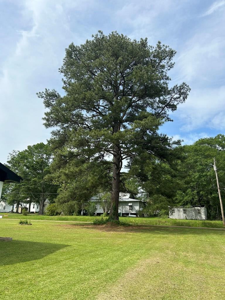 202 E Amite Street Property Photo 37