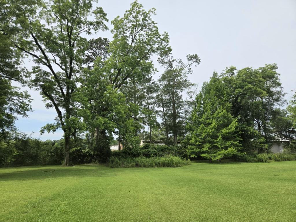 202 E Amite Street Property Photo 69