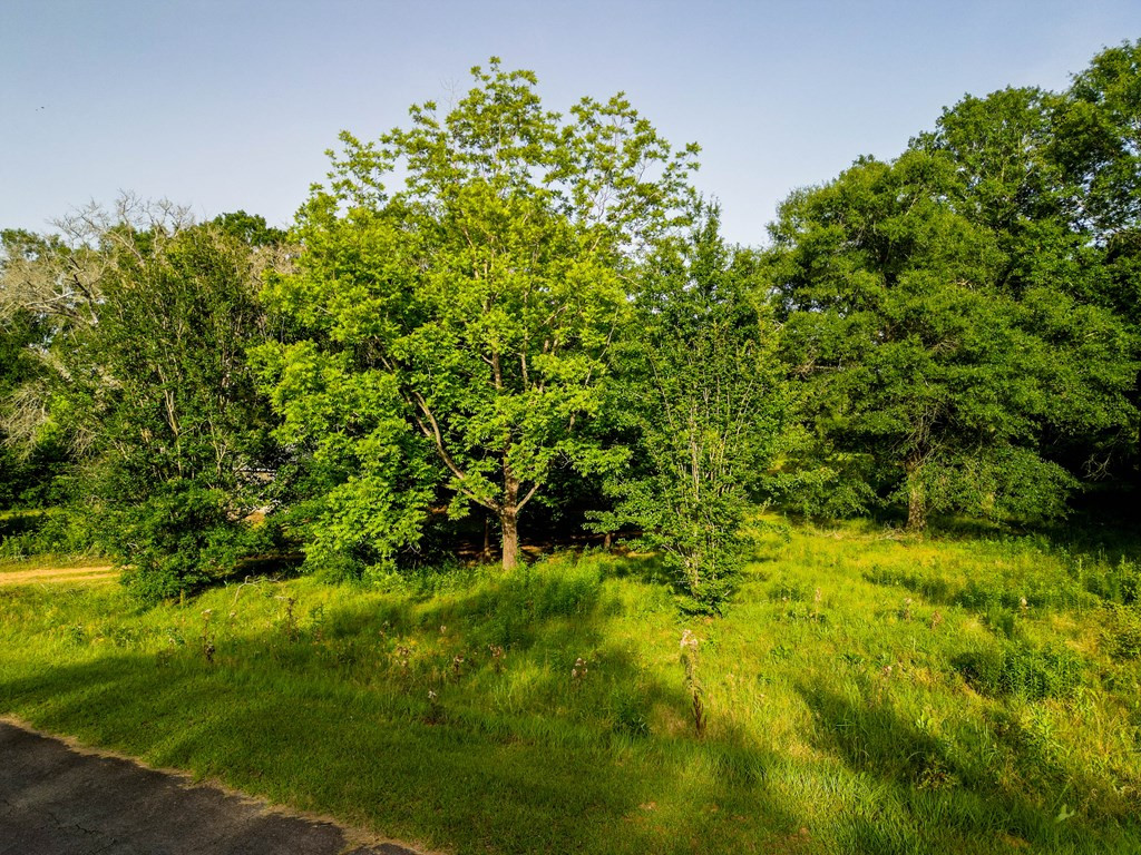 1022 Friendship Circle Property Photo 18
