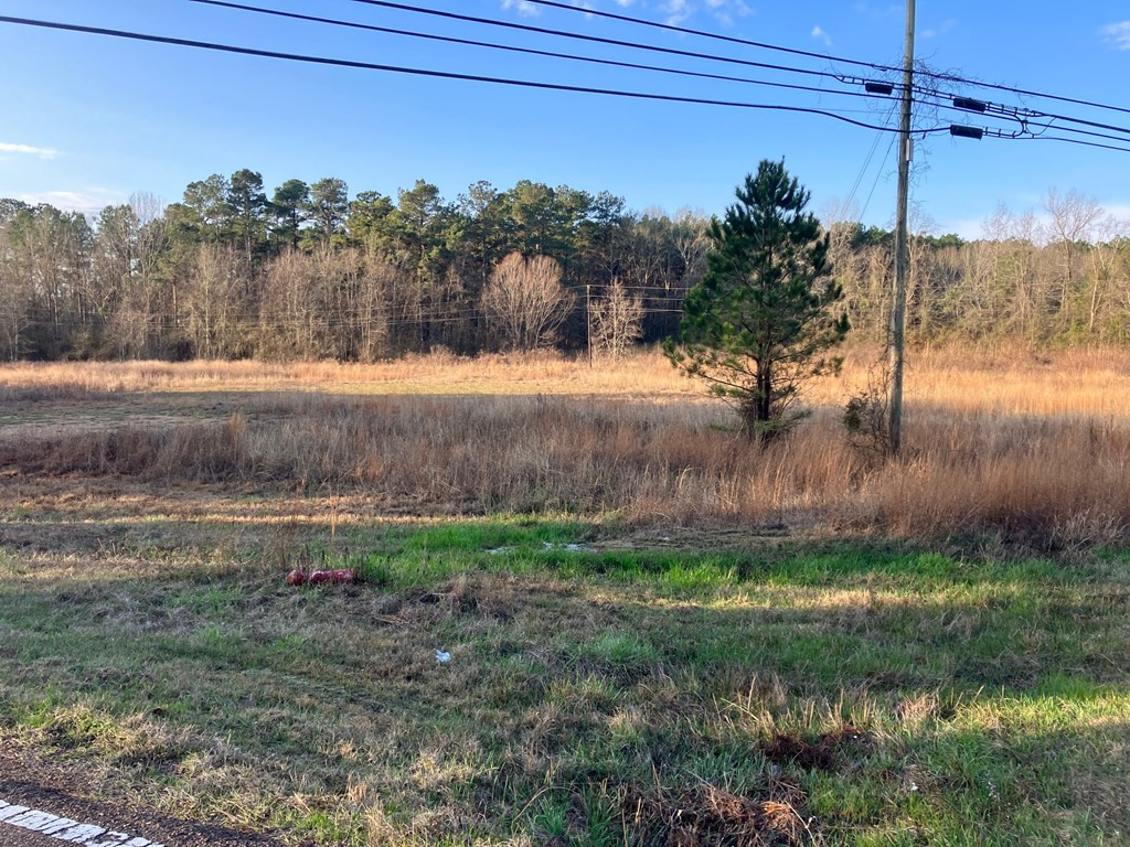 1111 Brookhaven Street Property Photo 3