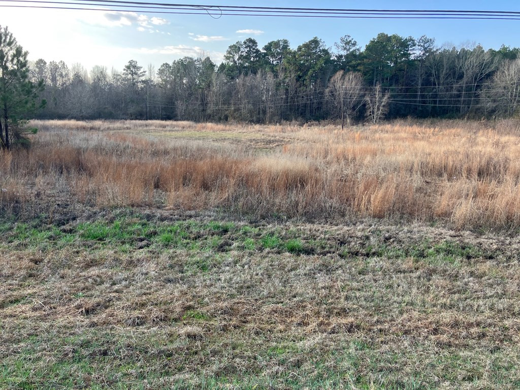 1111 Brookhaven Street Property Photo 4