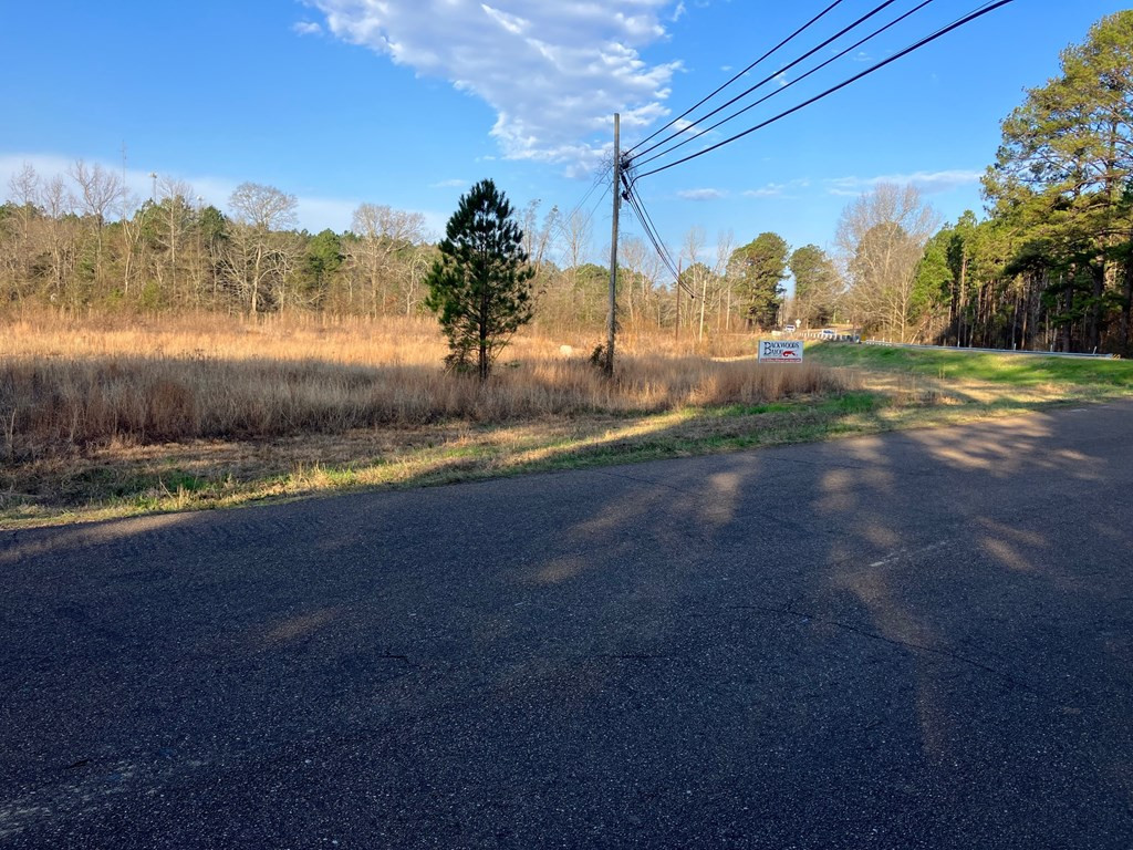 1111 Brookhaven Street Property Photo 5