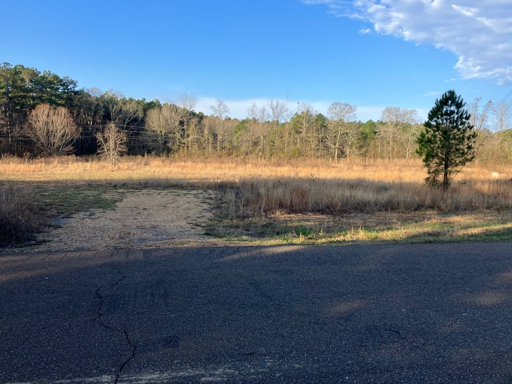 1111 Brookhaven Street Property Photo 6