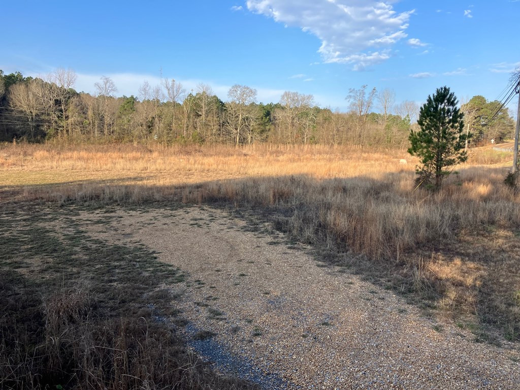 1111 Brookhaven Street Property Photo 7