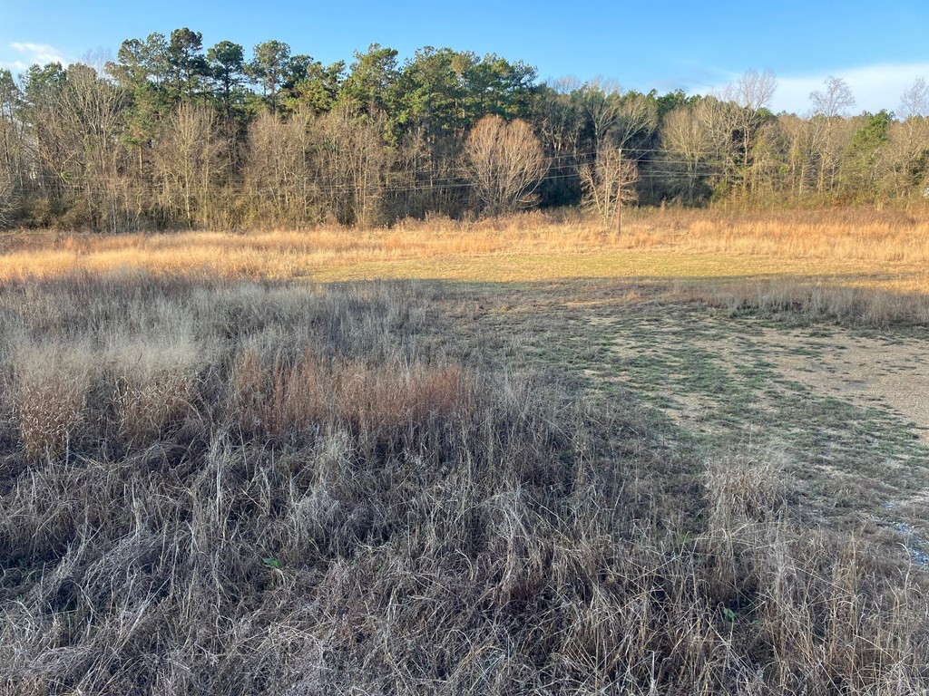 1111 Brookhaven Street Property Photo 8