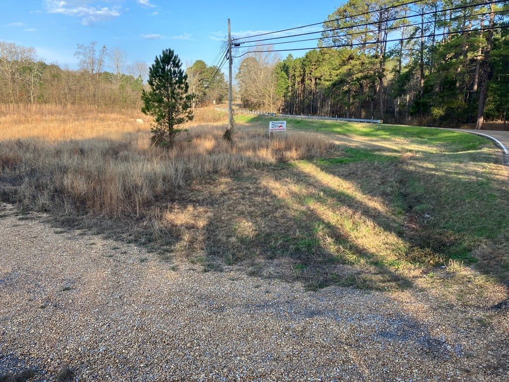 1111 Brookhaven Street Property Photo 9