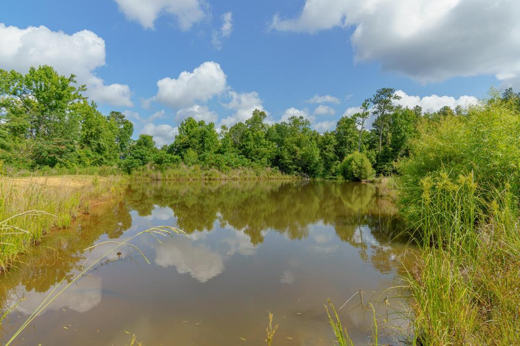 3603 Highway 583 Se Property Photo 19