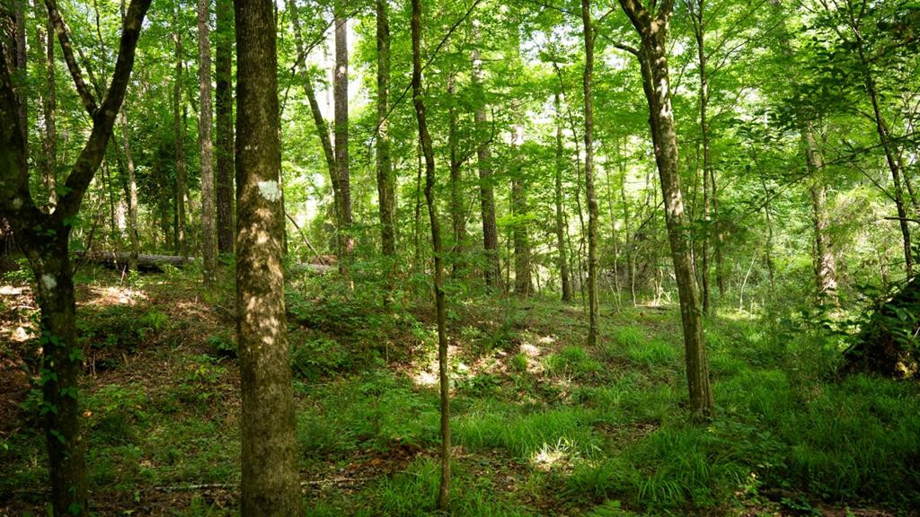 5498 Old Liberty Road North Property Photo 1