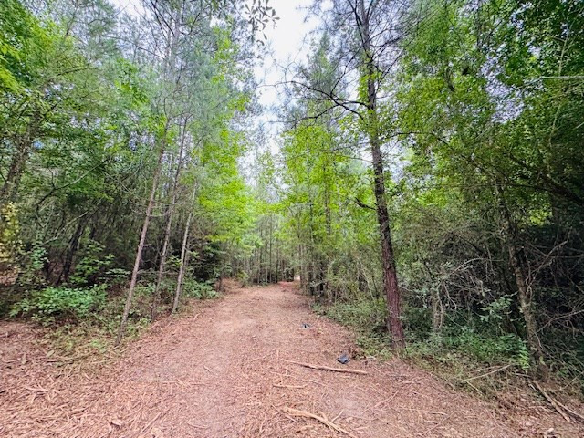 Tbd Carters Creek Road Property Photo 4