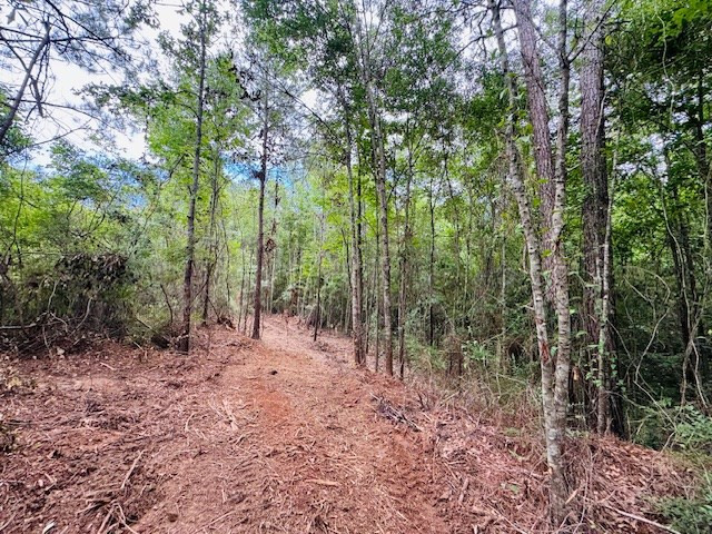 Tbd Carters Creek Road Property Photo 6