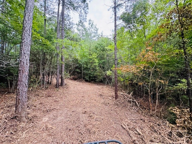 Tbd Carters Creek Road Property Photo 7