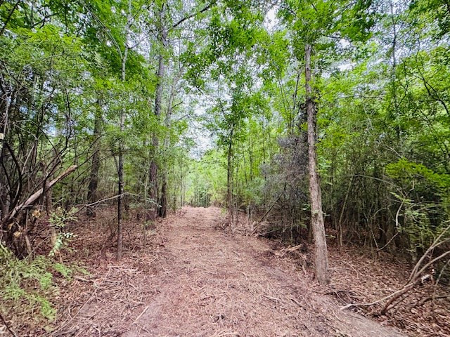 Tbd Carters Creek Road Property Photo 8