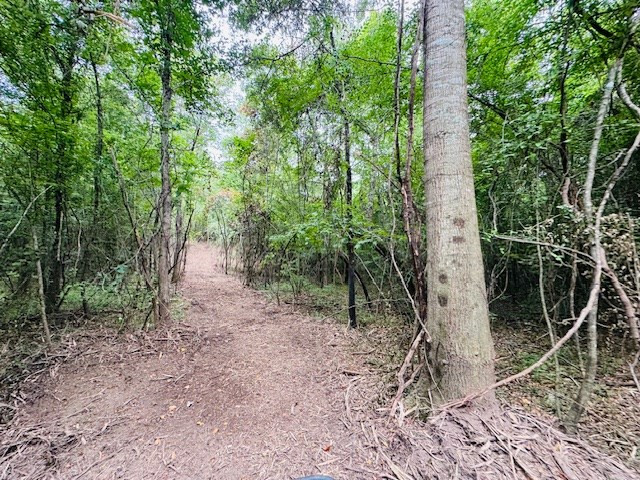 Tbd Carters Creek Road Property Photo 9